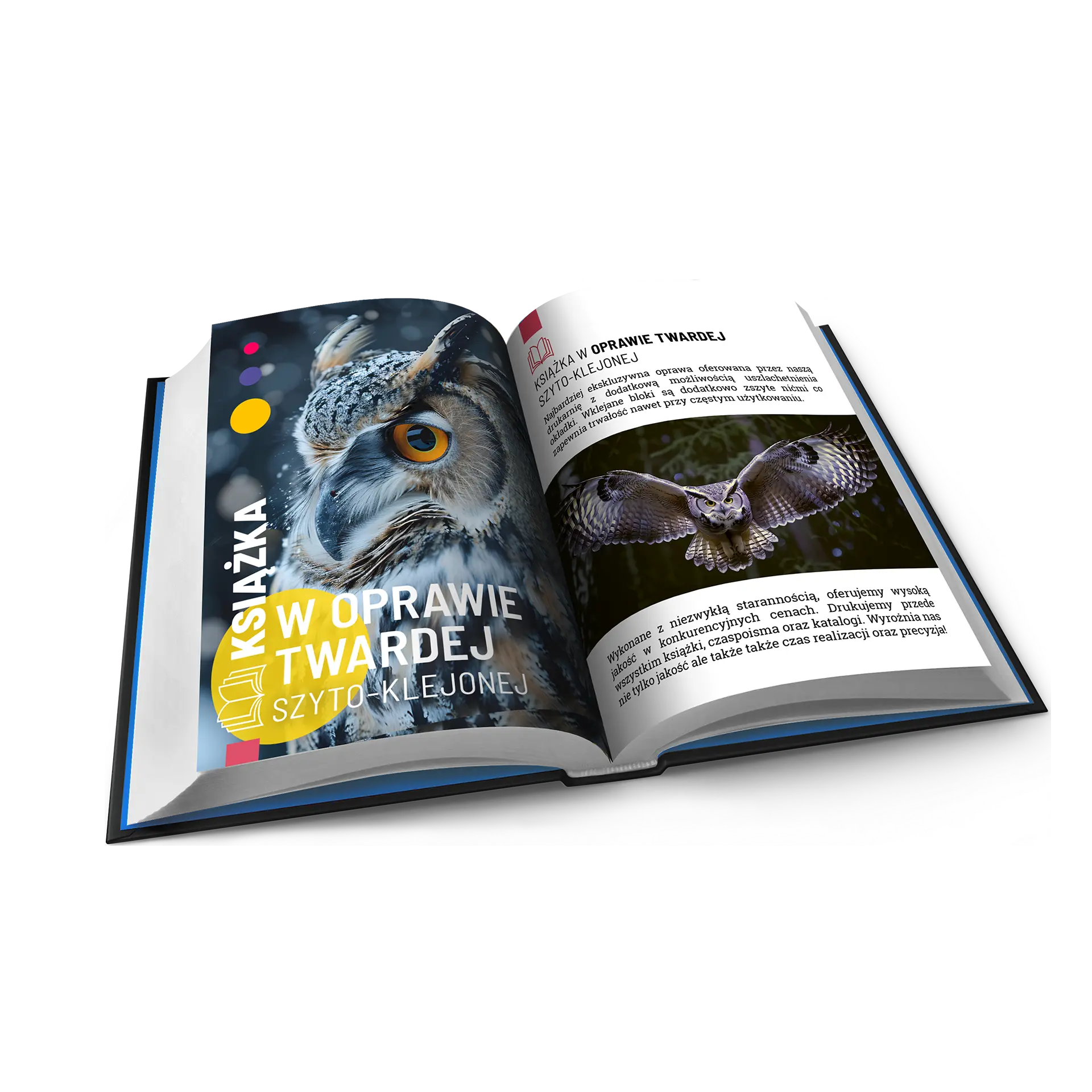 Książki i publikacje